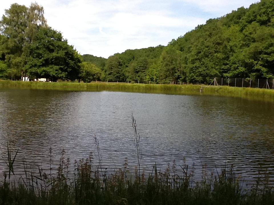 Chalet De Luve Vireux-Wallerand Kültér fotó